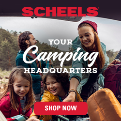 Scheels