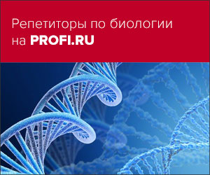 PROFI