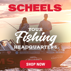 Scheels