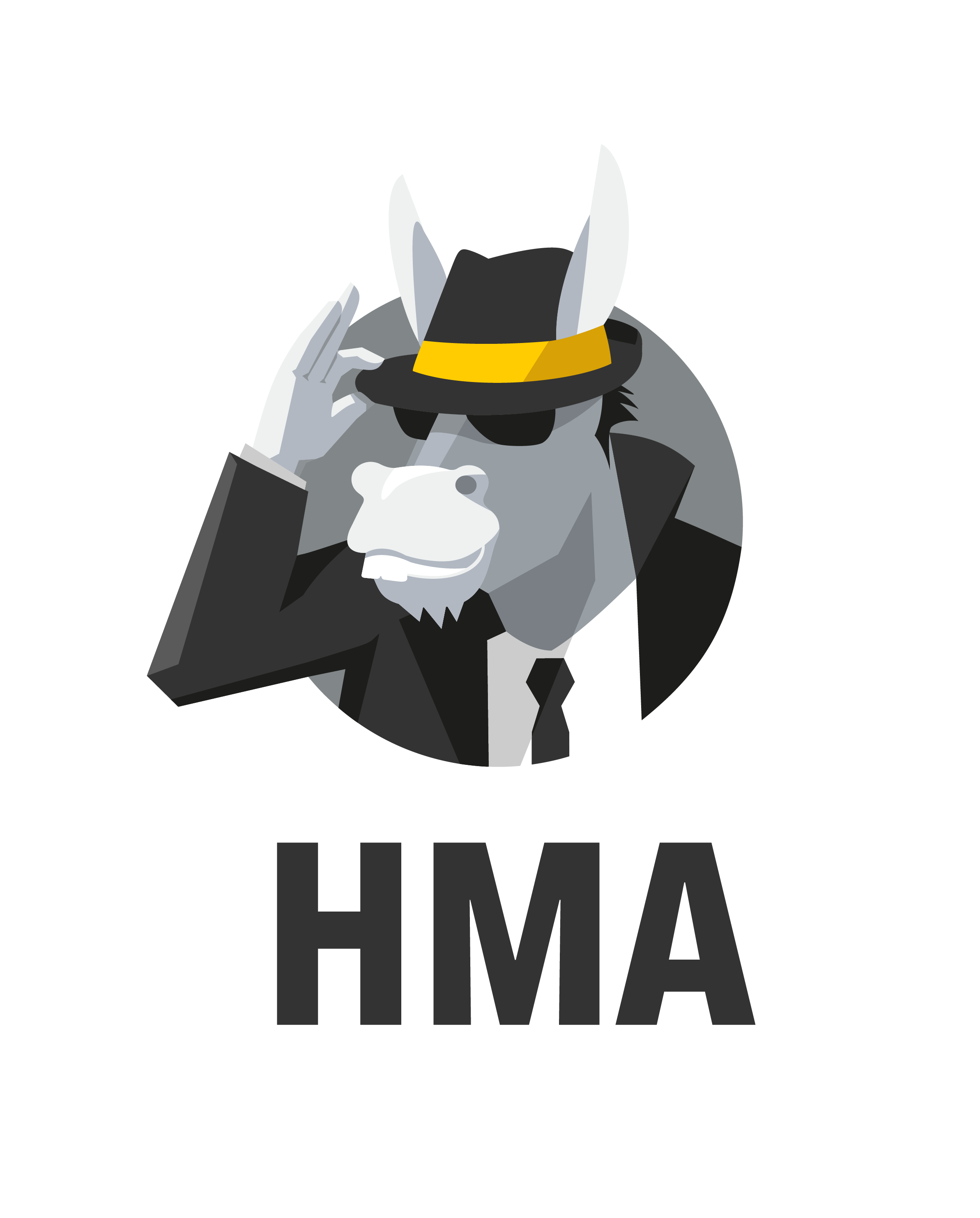 HMA(Hide my ass) VPN logo