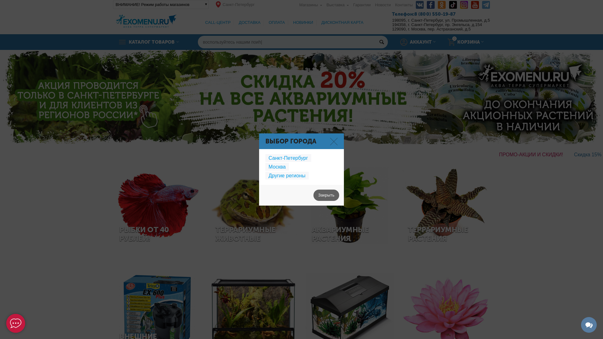 Exomenu.ru website