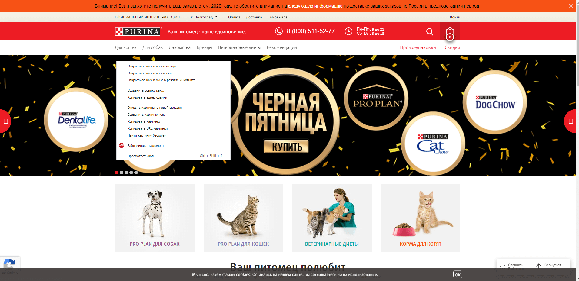 shop.purina.ru website