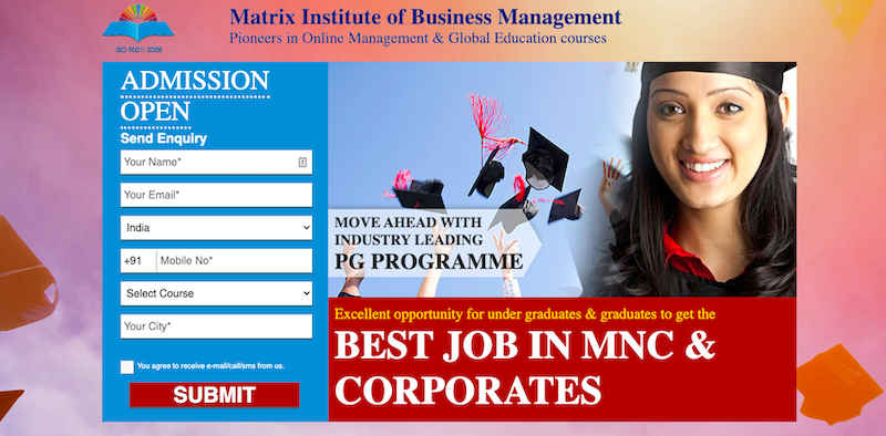 MIBM Global website