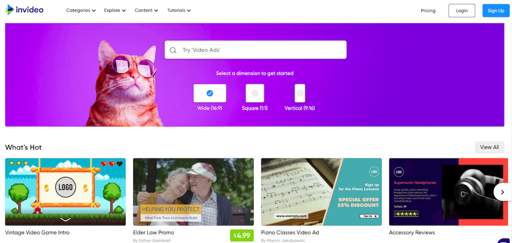 InVideo website